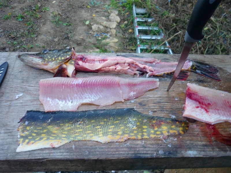 File de stiuca,fara piele,fara os ,fript cu garnitura de cartofi nature,patrunjel verde si lamaie