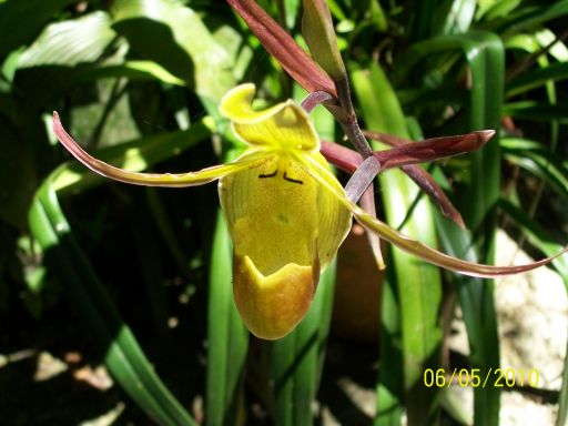 Calatorie in Costa Rica