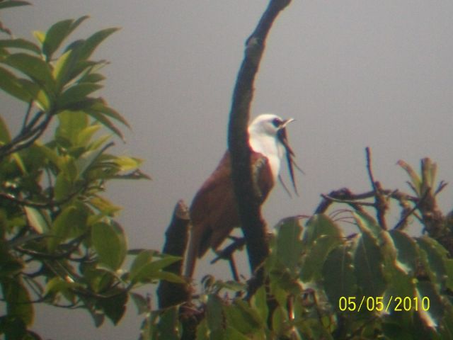 Calatorie in Costa Rica