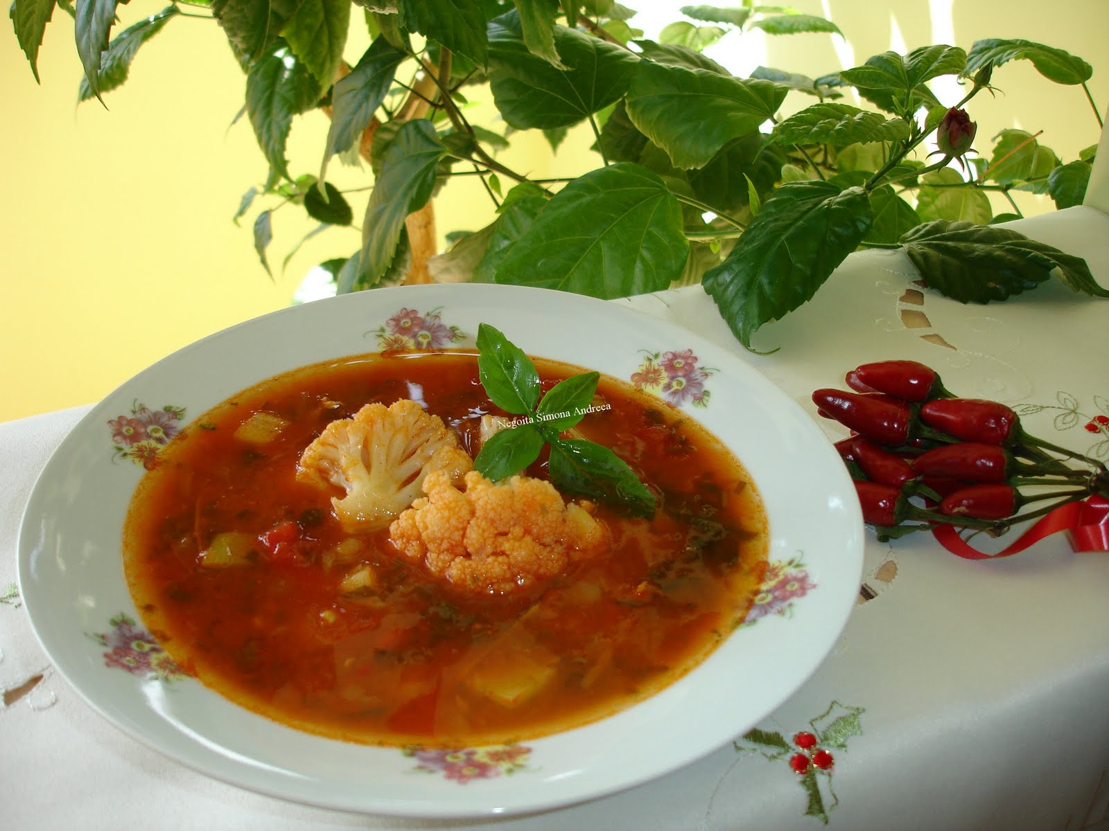 Ciorba de legume si conopida