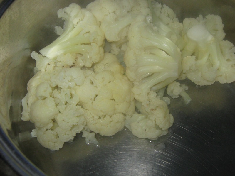Conopida cu ou