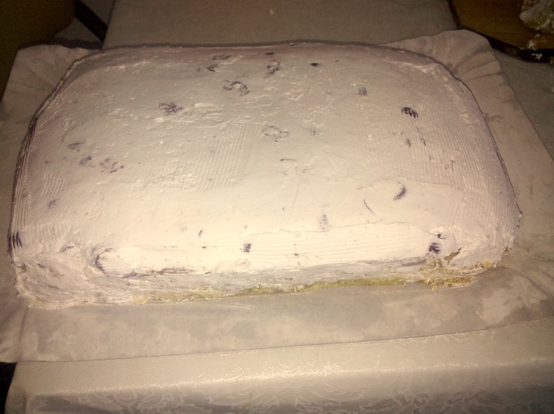 Tort camasa de politist 2