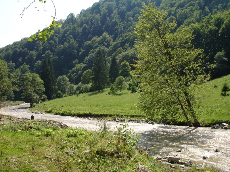 Cu mocanita pe Valea Vaserului