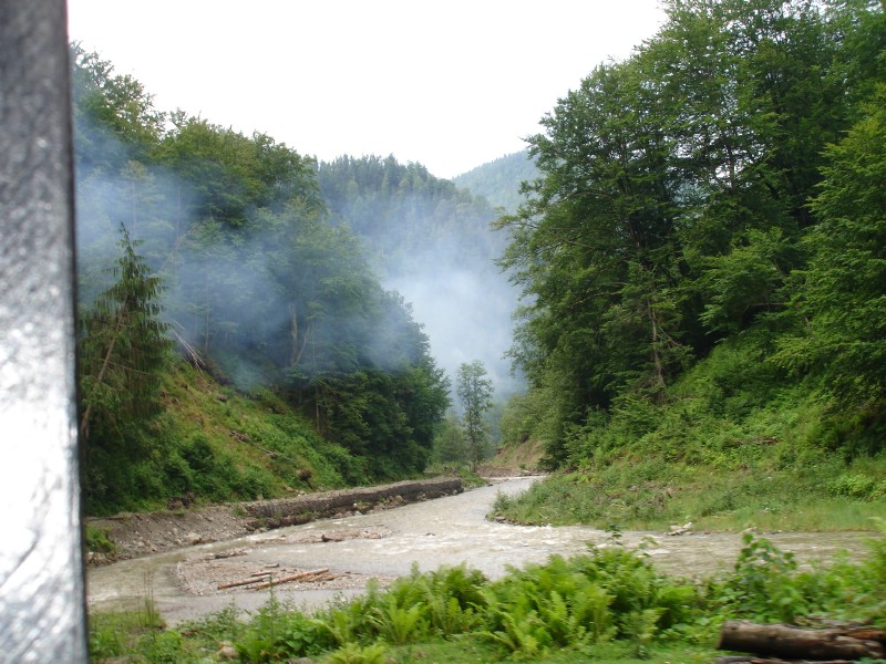 Cu mocanita pe Valea Vaserului