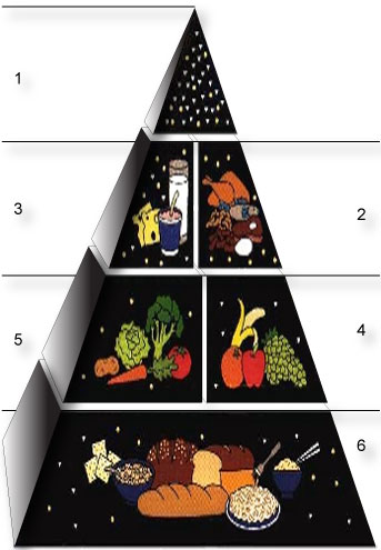 Alimentatia pe grupe sanguine