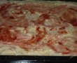 Lasagna " Primavera"-3