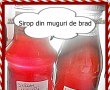 Sirop din muguri de brad-0