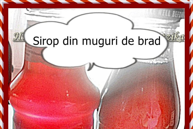 Sirop din muguri de brad