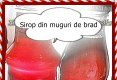 Beneficiile siropului din muguri de brad-1