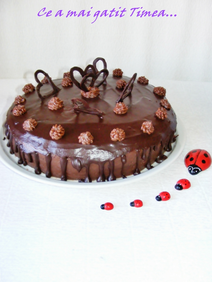 Tort Amandina M