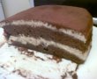 Tiramisu reţetă rapida-4