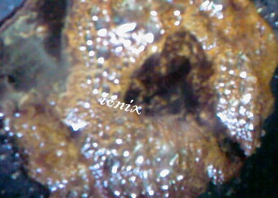 Porc tras in caramel, sos de soia si legume