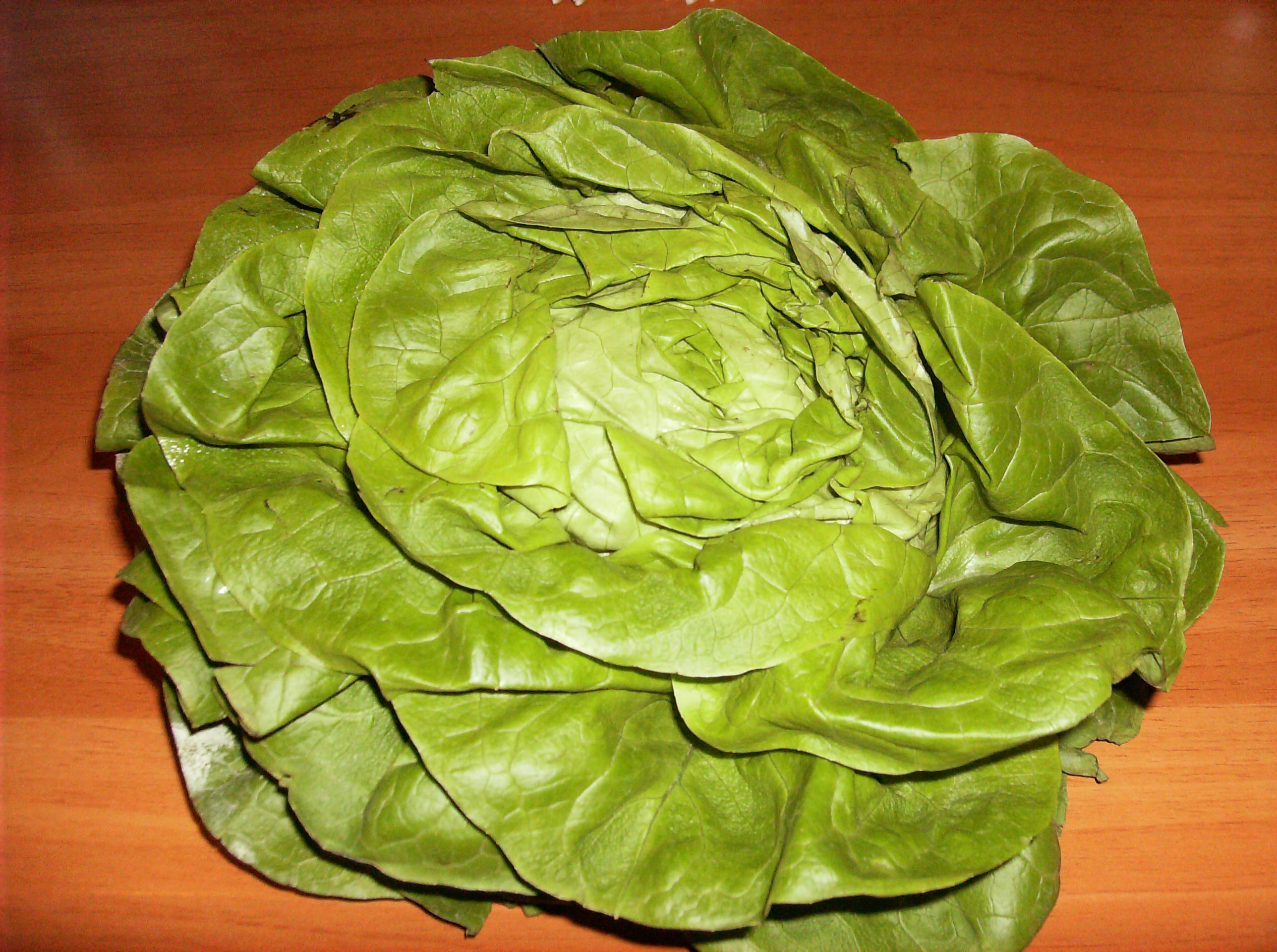 Ciorba de salata verde