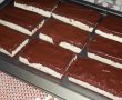 Felie de lapte(Milch Schnitte)-16