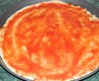 Pizza cu de toate (motaneasca)-2