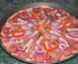 Pizza cu de toate (motaneasca)-10