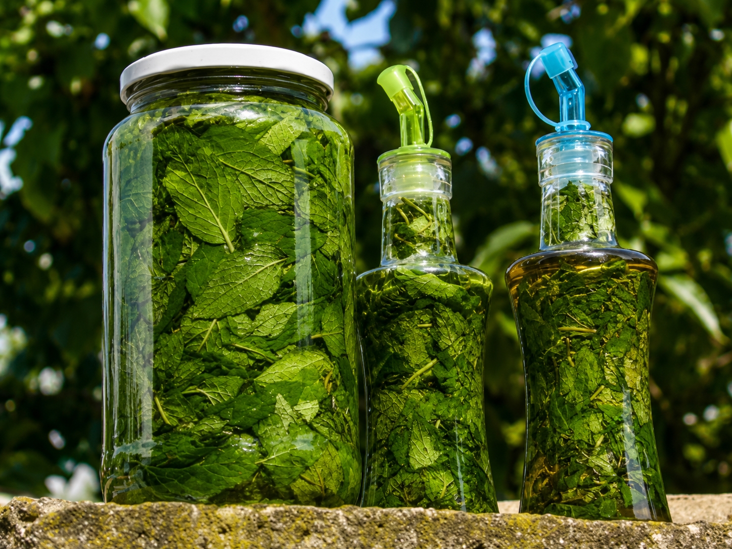 Lichior de menta