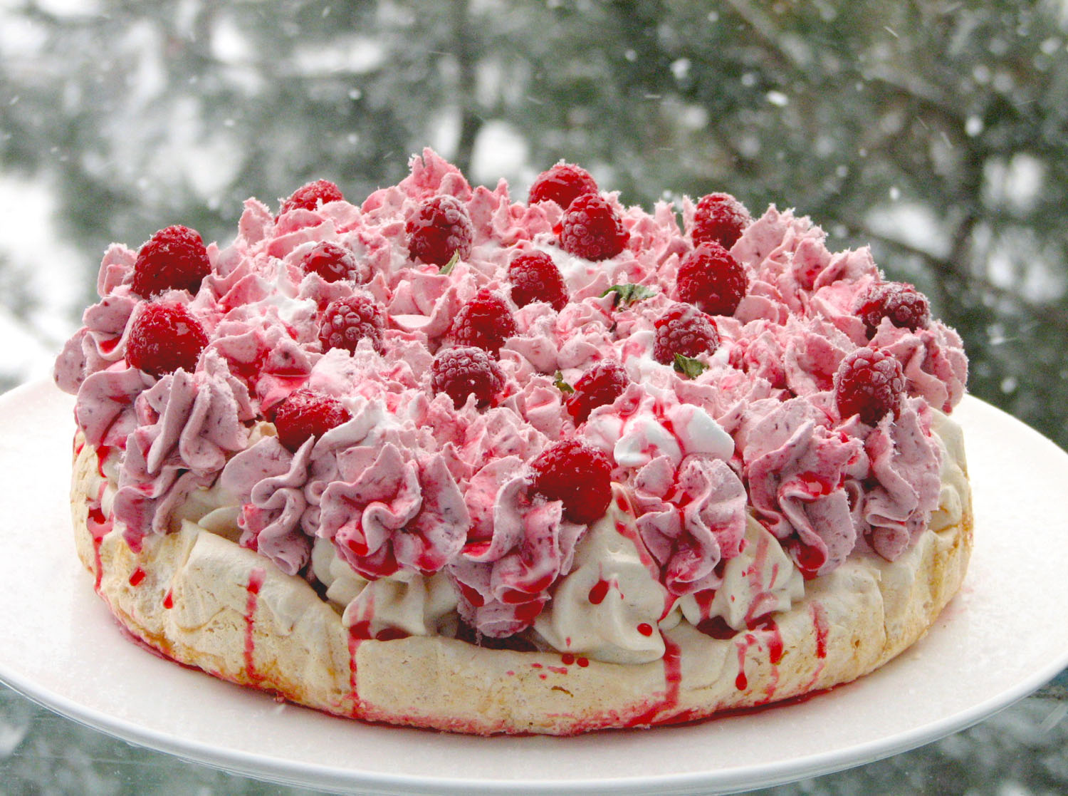 Pavlova cu zmeura