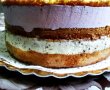 Tort cu crema Stracciatella si capsuni-7