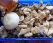 Tocanita de ciuperci Pleurotus-0