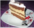 Tort cu mousse de ness-4