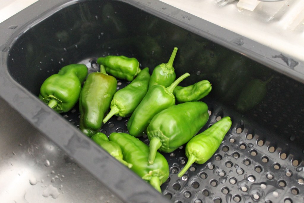 Pimentos de Padron