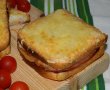 Sandwich croque  monsieur-10