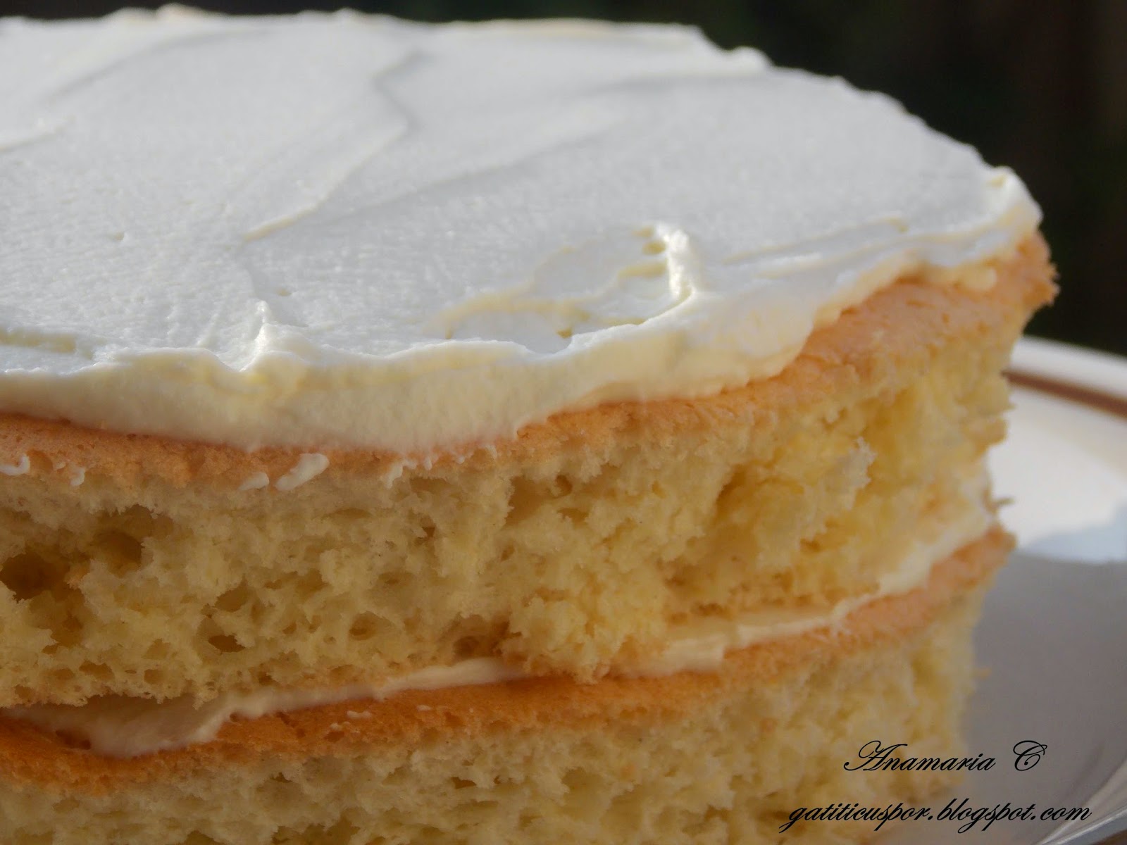 Tort cu ciocolata si crema de branza