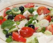 Salata greceasca-2