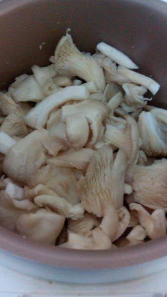 Mancarica de ciuperci pleurotus