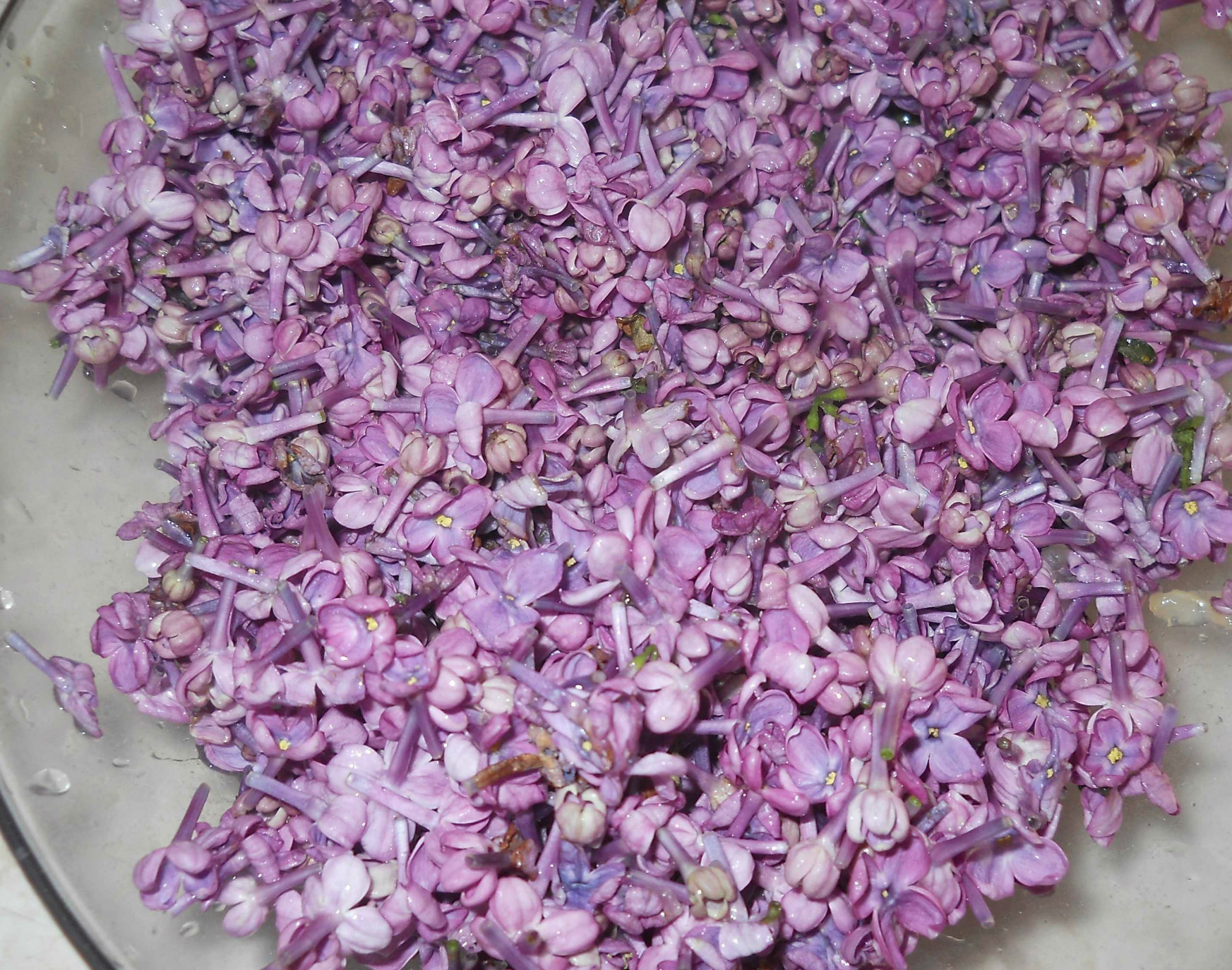 Dulceata din flori de liliac