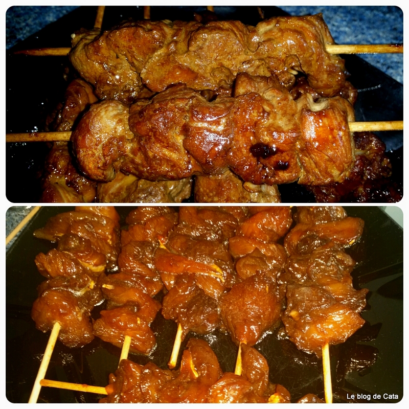 Frigarui Yakitori de curcan