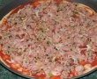 Pizza cu carne de porc si ciolan-7