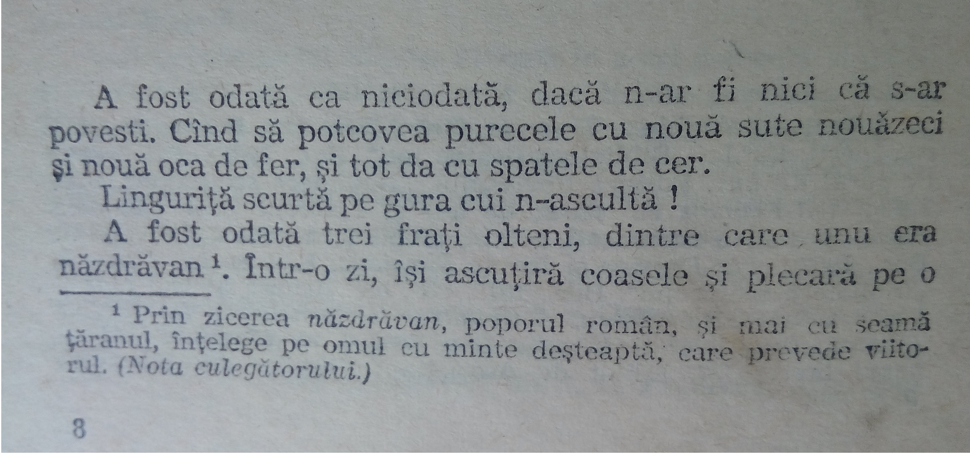 VISUL DIN CASA VIITORULUI