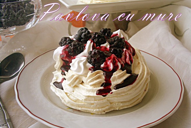 Pavlova cu mure