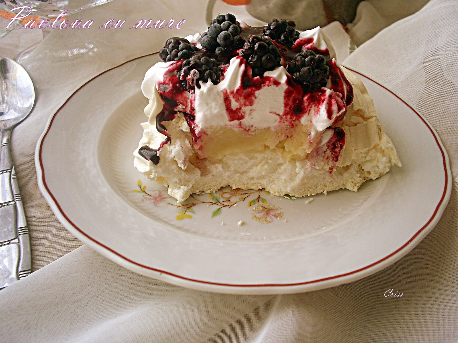 Pavlova cu mure