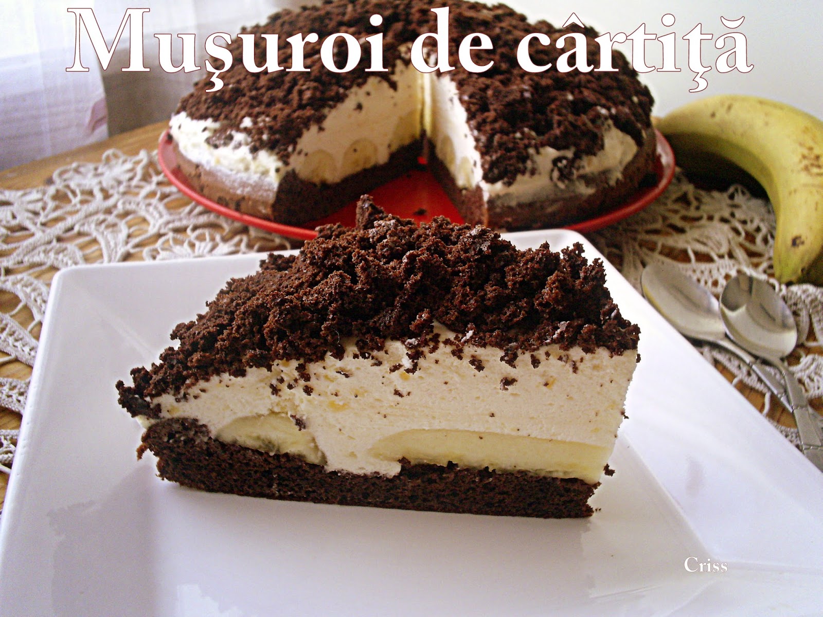 Desert tort musuroi de cartita