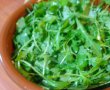 Salata de creveti, rucola si mango-6