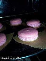 Macarons cu ciocolata