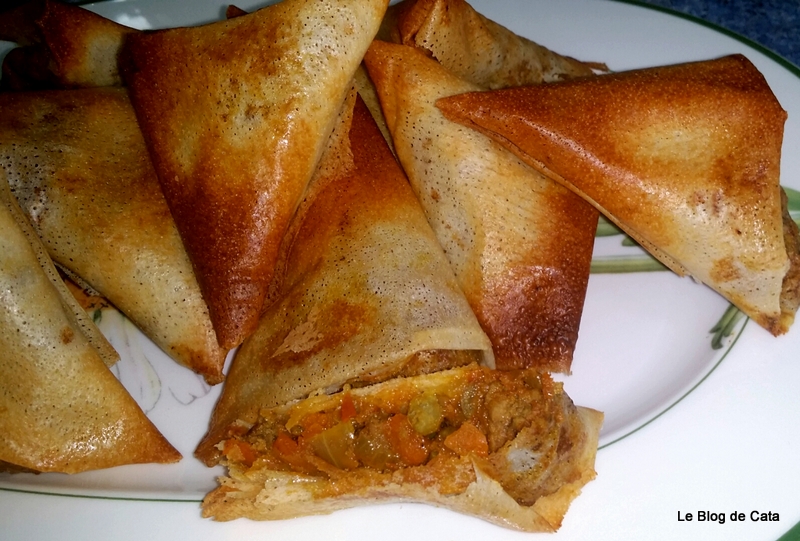 Samosa cu carne de vita