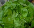 SALATA CU RUCOLA , TON SI OUA-4