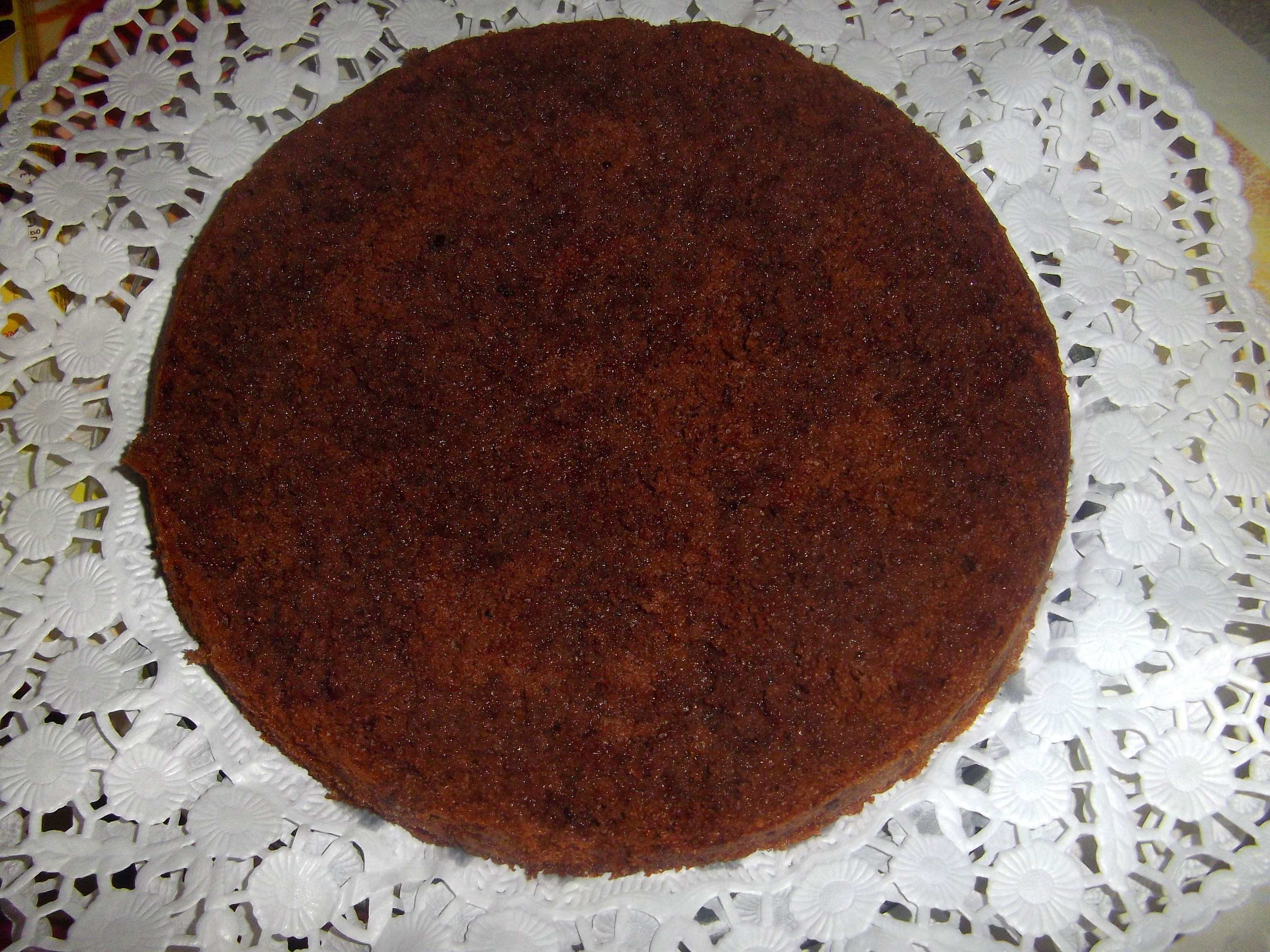 Tort Vis de ciocolata