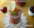 Limonada cu visine-3