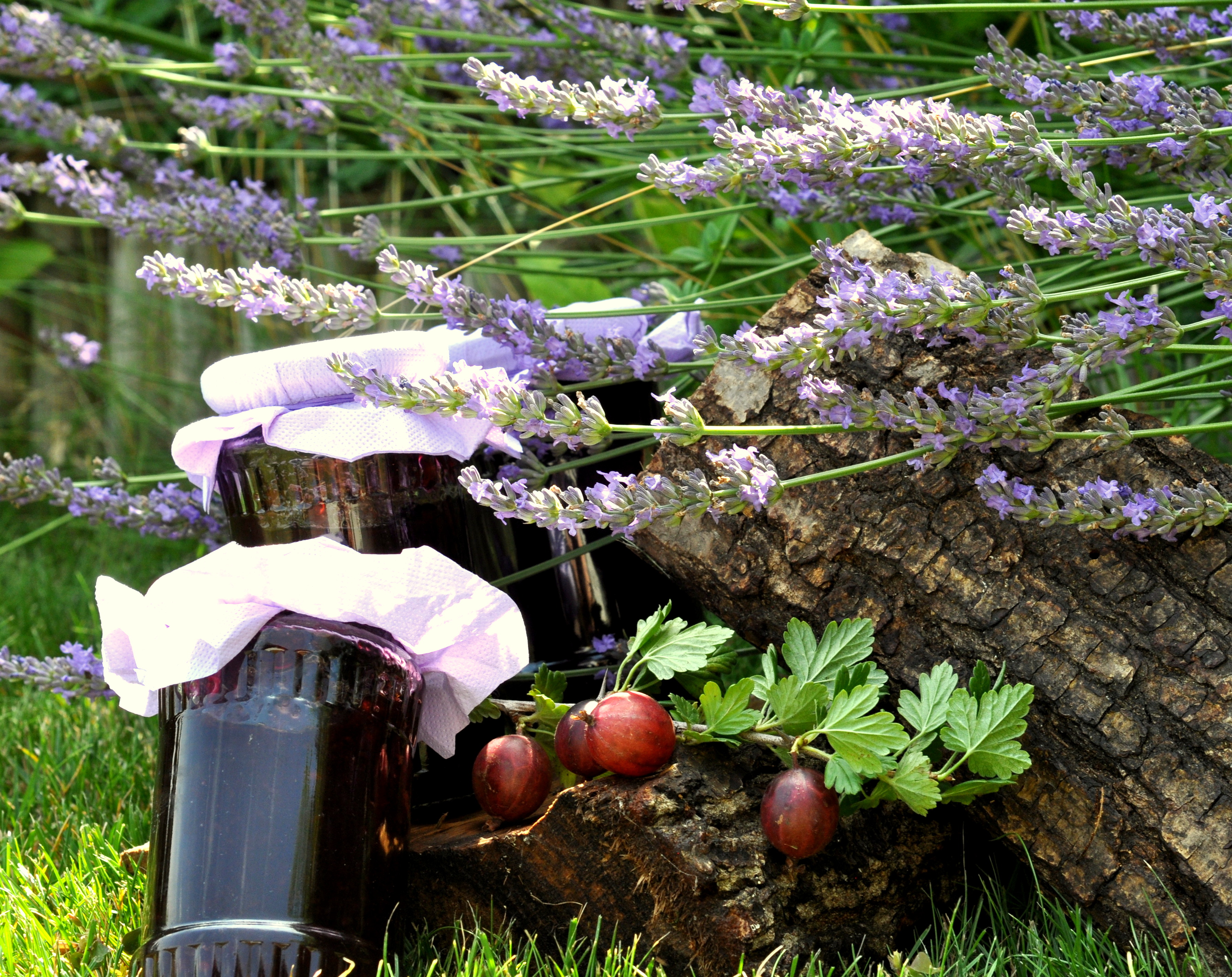 Dulceata de agrise cu lavanda - Provence