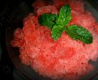 Granita de pepene verde si  menta-8