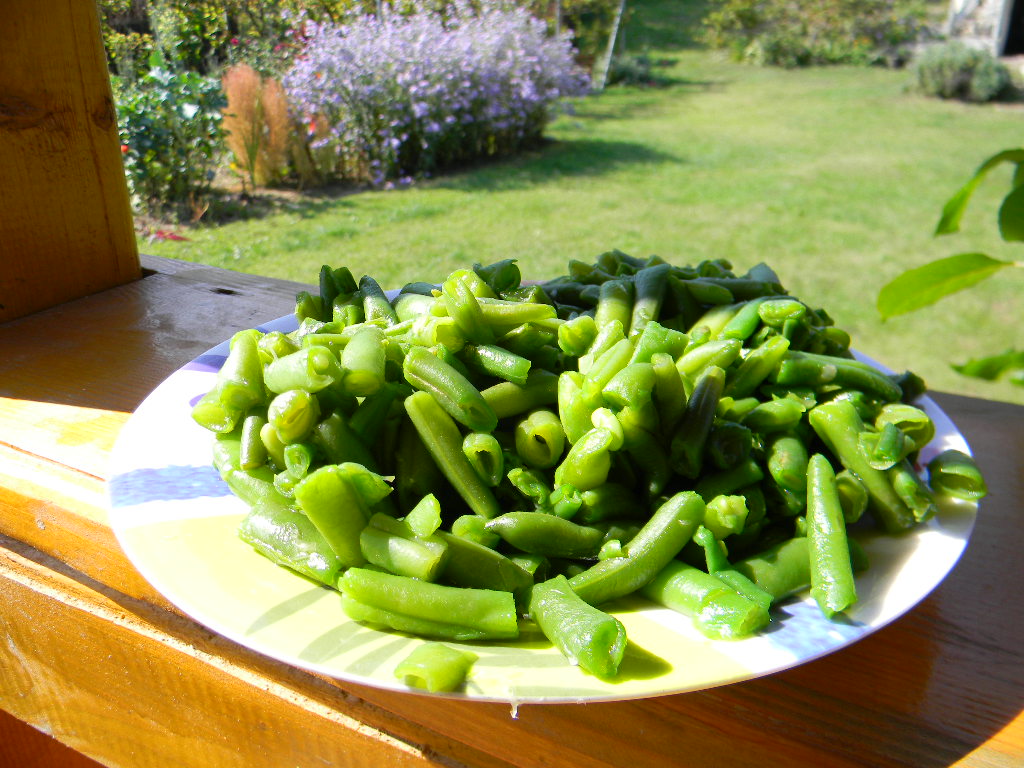 Salata Nicoise