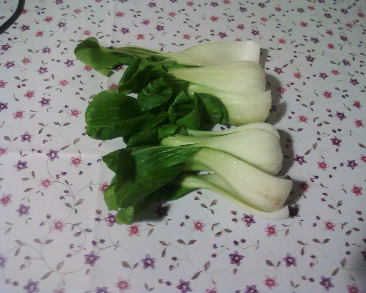 Pak choi cu creveti si taitei