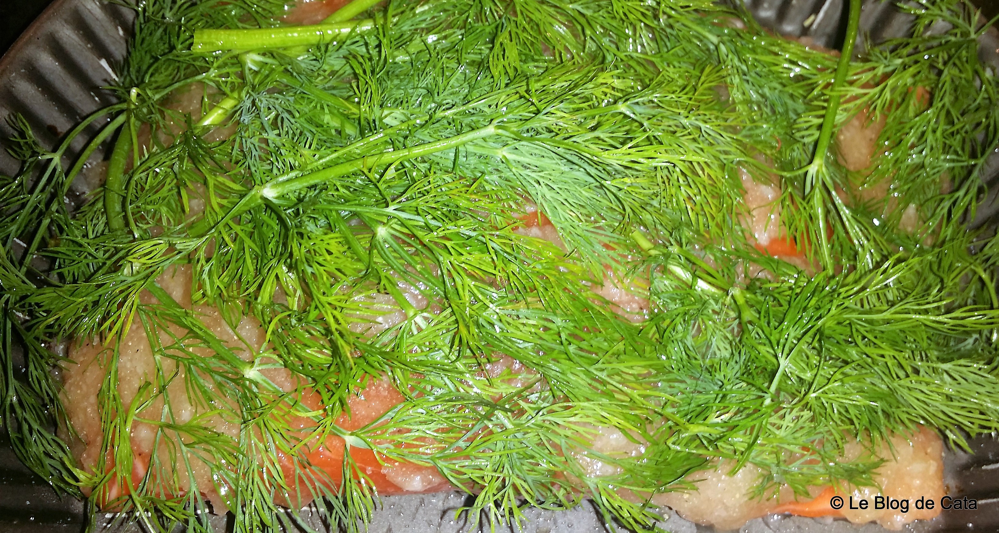 Somon gravlax