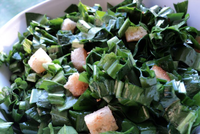 Salata de leurda