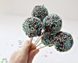 Desert cake pops-24